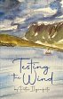 Testing the Wind (eBook, ePUB) - Bild 1