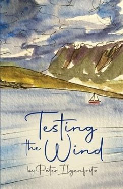 Testing the Wind (eBook, ePUB) - Ilgenfritz, Peter