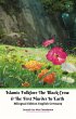 Islamic Folklore The Black Crow & The... - Bild 1