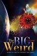 The Big Weird (eBook, ePUB) - Bild 1