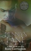 Penny's Lane (Apishipa Creek Chronicles, #2) (eBook, ePUB)