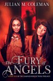 The Fury of Angels (Damned Reflections, #1) (eBook, ePUB) The Fury of Angels (Damned Reflections, #1) (eBook, ePUB)