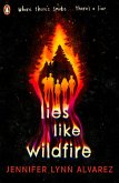 Lies Like Wildfire (eBook, ePUB)