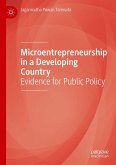 Microentrepreneurship in a Developing Country