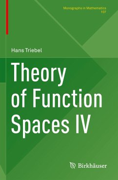 Theory of Function Spaces IV - Triebel, Hans