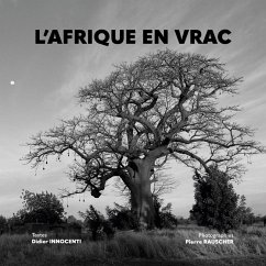 L'AFRIQUE EN VRAC (eBook, ePUB)