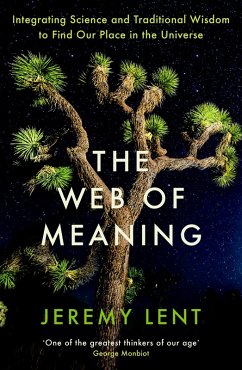 The Web of Meaning (eBook, ePUB) - Lent, Jeremy