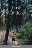 Lost wanderer