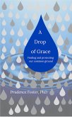 A Drop of Grace: Finding and Protecting our Common Ground (eBook, ePUB)