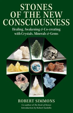 Stones of the New Consciousness - Simmons, Robert