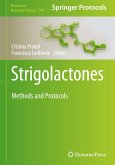 Strigolactones