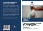 Pseudomonas aeruginosa, ein faszinierendes biologisch abbauendes Bakterium