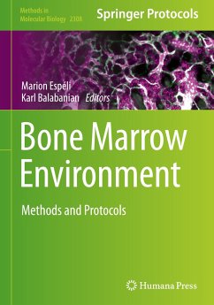 Bone Marrow Environment