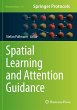 Spatial Learning and Attention Guidance - Bild 1