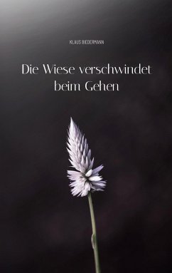 Die Wiese verschwindet beim Gehen - Biedermann, Klaus