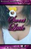 Sweet Little (eBook, ePUB)