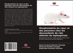 Morphométrie du c¿ur et des poumons chez les descendants de rats atteints de leptospirose - Monzón Tamargo, María de Jesús;Carvajal, Daimara Grandía;González Sánchez, Rodovaldo