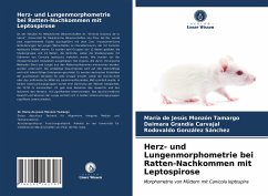 Herz- und Lungenmorphometrie bei Ratten-Nachkommen mit Leptospirose - Monzón Tamargo, María de Jesús;Carvajal, Daimara Grandía;González Sánchez, Rodovaldo