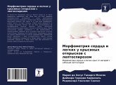 Morfometriq serdca i legkih u krysinyh otpryskow s leptospirozom Morfometriq serdca i legkih u krysinyh otpryskow s leptospirozom