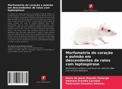 Morfometria do coração e pulmão em descendentes de ratos com leptospirose - Monzón Tamargo, María de Jesús;Carvajal, Daimara Grandía;González Sánchez, Rodovaldo