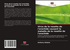 Virus de la rosette de l'arachide causant la maladie de la rosette de l'arachide - Mabele, Anthony