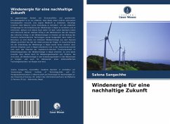 Windenergie für eine nachhaltige Zukunft - Sangachhe, Salena