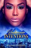 Undercover Intentions (eBook, ePUB)