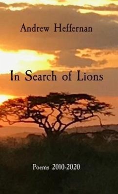 Cover In Search of Lions (eBook, ePUB)