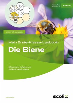 Mein Erste-Klasse-Lapbook: Die Biene - Mönning, Petra