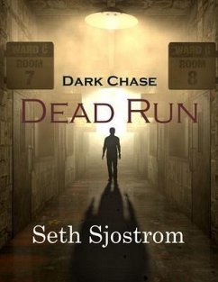 Dark Chase (eBook, ePUB) - Sjostrom, Seth