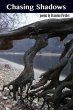 Chasing Shadows (eBook, ePUB) - Bild 1