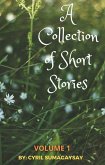 A Collection of Short Stories: Volume 1 (eBook, ePUB)