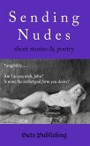 Sending Nudes (eBook, ePUB)