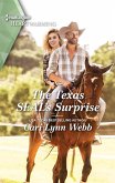 The Texas SEAL's Surprise (eBook, ePUB)