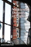 Shattered Dreams in Light (eBook, ePUB)