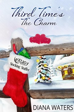 Third Time's the Charm (eBook, ePUB) - Waters, Diana