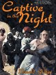 Captive in the Night (eBook, ePUB) - Bild 1