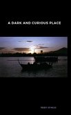 A Dark and Curious Place (Vietnam War Era) (eBook, ePUB)