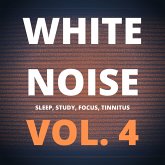 White Noise (Vol. 4) (MP3-Download)