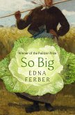 So Big (eBook, ePUB)