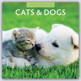 Cats & Dogs 2024 Square Wall Calendar