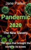 Pandemic 2020 (eBook, ePUB)