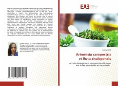 Artemisia campestris et Ruta chalepensis - Khlifi, Chaima