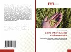 Grains entiers & santé cardiovasculaire