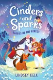 Cinders and Sparks #2: Fairies in the Forest (eBook, ePUB)