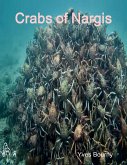 Crabs of Nargis (eBook, ePUB)