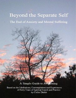Beyond the Separate Self (eBook, ePUB) - Drake, Colin
