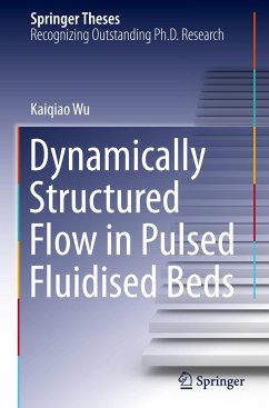 Dynamically Structured Flow in Pulsed Fluidised Beds - Wu, Kaiqiao