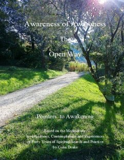 Awareness of Awareness - The Open Way (eBook, ePUB) - Drake, Colin