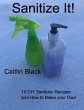 Sanitize It! - 15 Diy Sanitizer Recipes... - Bild 1